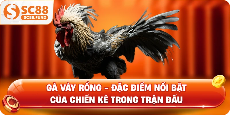 Gà Vảy Rồng - Đặc Điểm Nổi Bật Của Chiến Kê Trong Trận Đấu